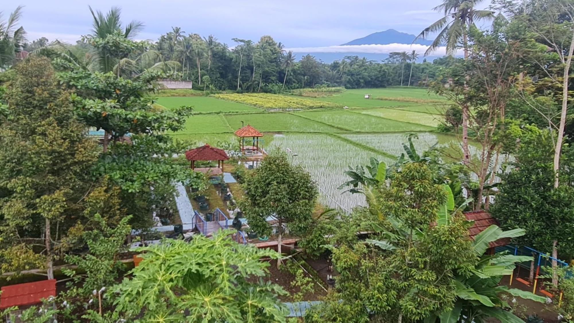 Anugrah Borobudur Magelang Εξωτερικό φωτογραφία