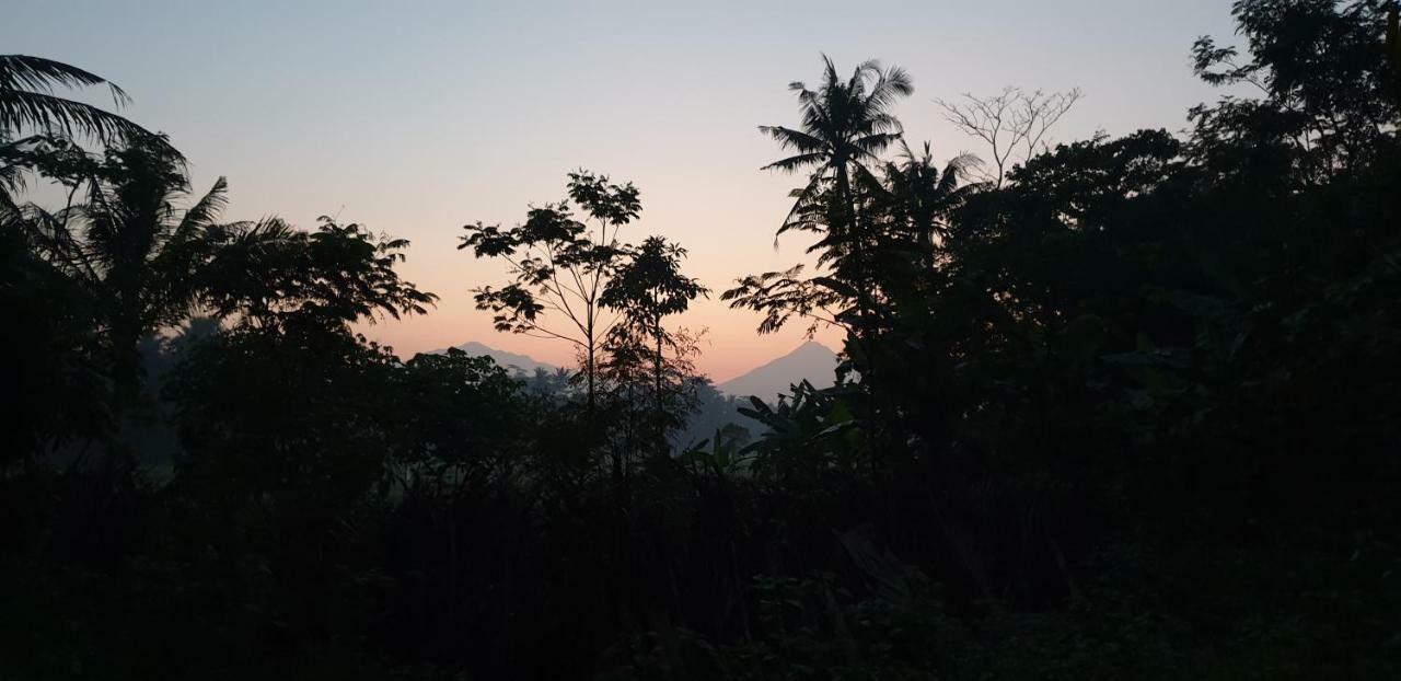 Anugrah Borobudur Magelang Εξωτερικό φωτογραφία